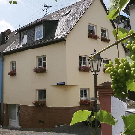 Wuerzgarte By Interhome * Ürzig