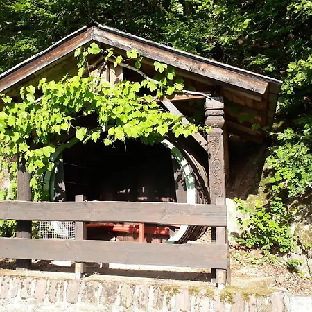 Wuerzgarte By Interhome 오지그