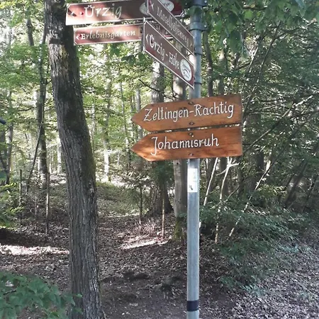 Wuerzgarte By Interhome Vakantiehuis *