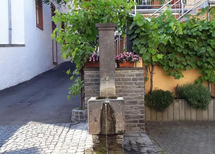 Wuerzgarte By Interhome Ürzig